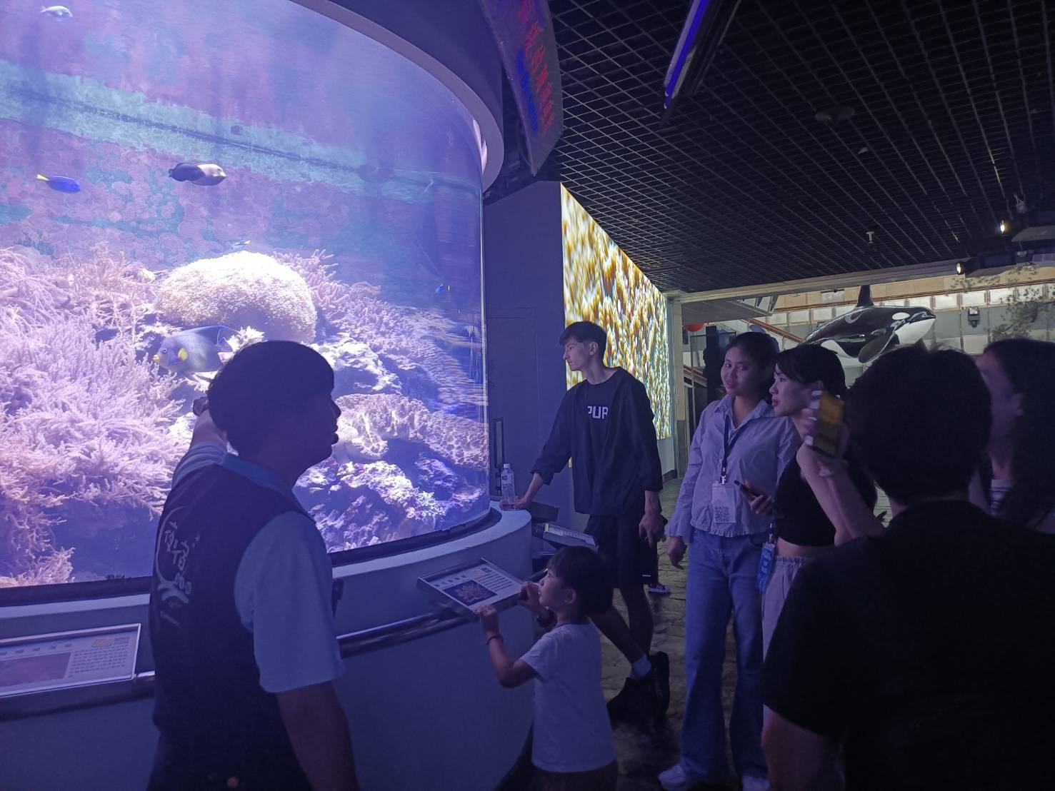 Students observing a coral reef aquarium during a guided visit